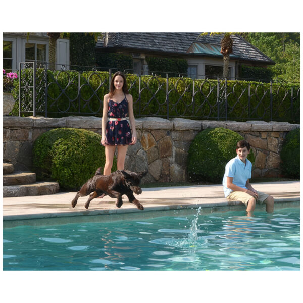 Patrick Jackson Suburban Jumping Dog, 2014